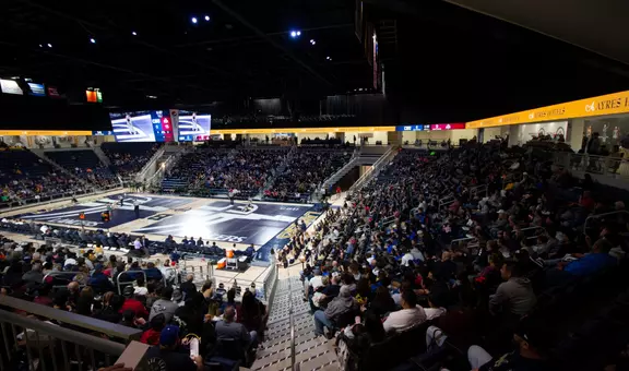 Wrestling Mat