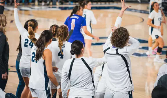 Three Celly on Bench