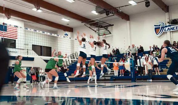 Triple Blockers