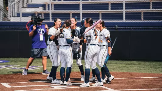 Home Run Celebration