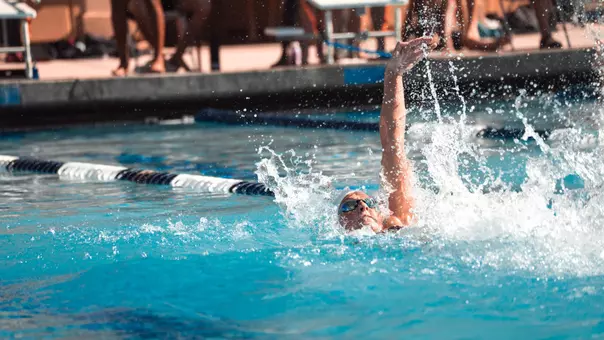 cbuswim