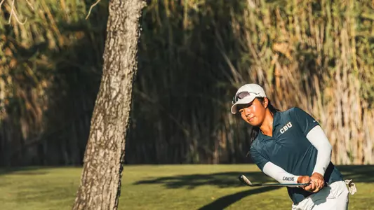 shuyi cao