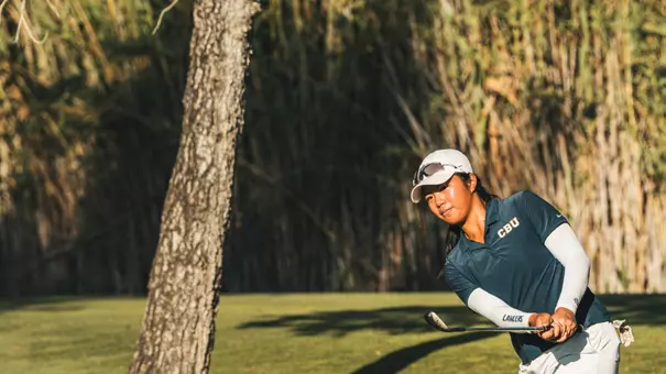 shuyi cao