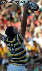 Cal Wins Title, 21-14, over BYU
