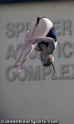 Two Bears Reach Platform Final in L.A.