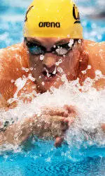 Cal Men's Swimming Performs Well at Stanford