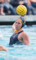 No. 5 Bears Roll Past Harvard