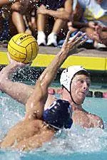Attila Banhidy and Will Quist Named AWPCA All-Americans