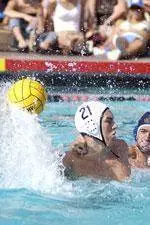 No. 4 Cal Water Polo Defeats UC Davis and UC Irvine at SoCal Tournament