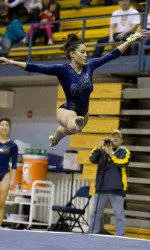Bears Set Season High Score in Loss to Cardinal