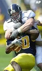 Bears Football Loses To Cougars, 44-16