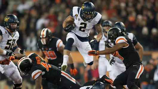 Bears Rush Past Oregon State, 45-31