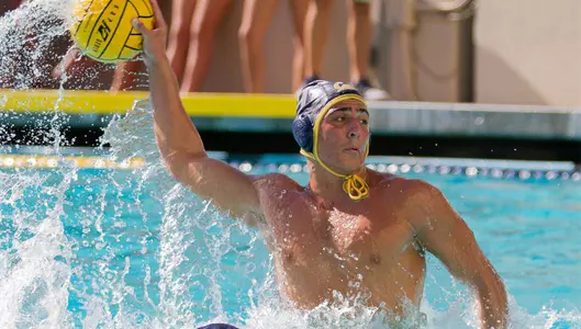 Cupido Named MPSF Newcomer of the Year