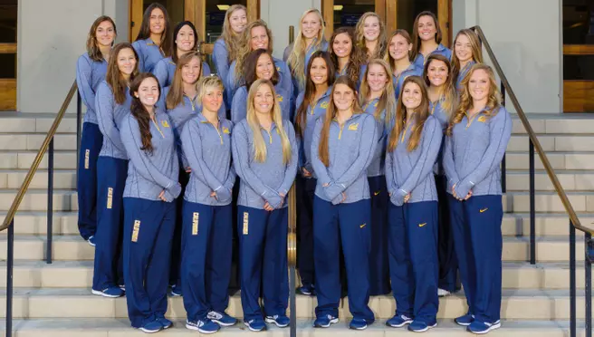 Bears Fall In Third Place Game Of NCAA Tournament