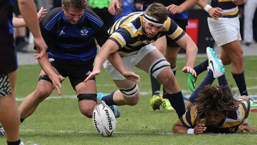 Cal Falls to BYU, 43-33, in Varsity Cup Final