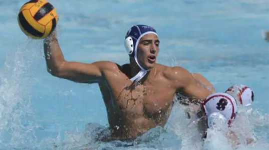 Luca Cupido