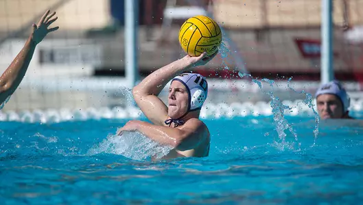 Colin Mulcahy