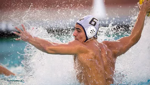 Luca Cupido