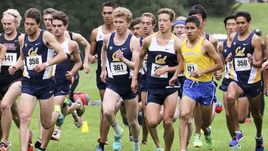 mens xc usf