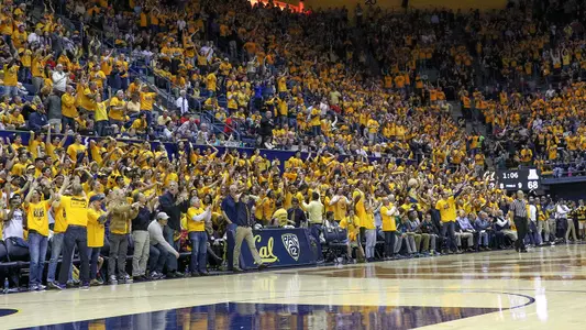Cal-Arizona 2016 crowd