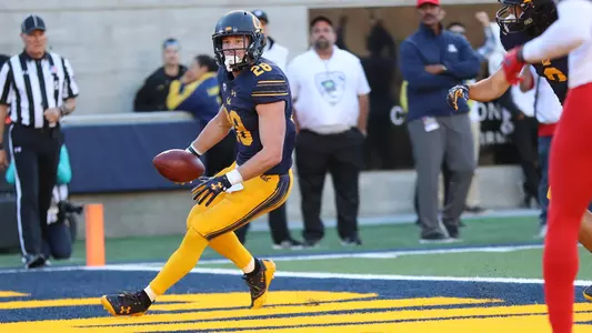 Patrick Laird TD vs. Arizona 2017
