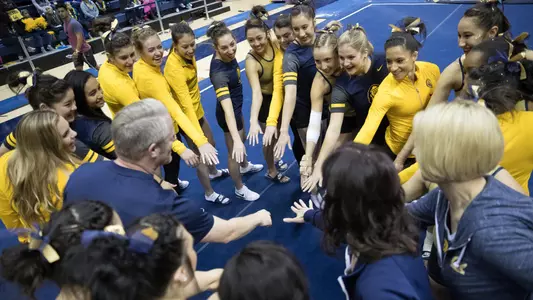 Gymnastics Team