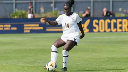 Abena Aidoo