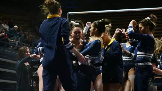 Nina Schank vs. Stanford