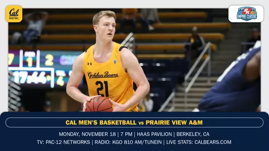 Preview - PVAM