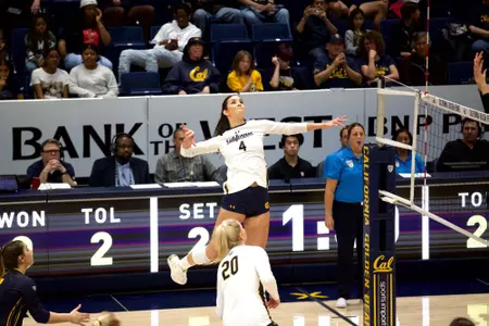 Maddie Haynes USC