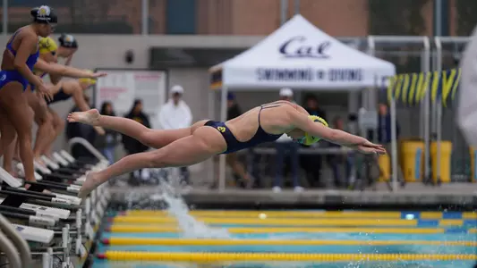 Cal swim vs. San Jose State 2019