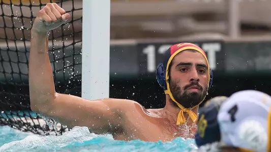 Bernardo Carelli