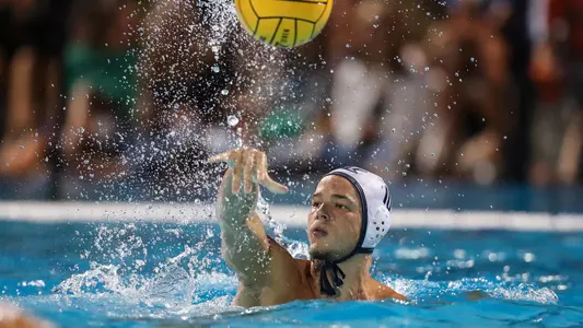 David Feingold