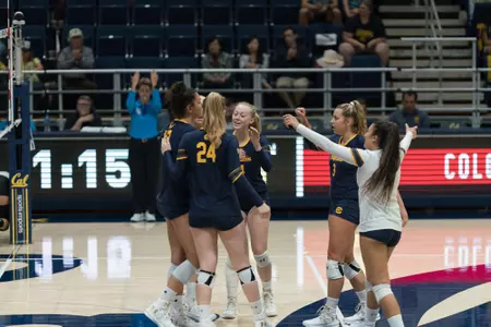 VB Celebration