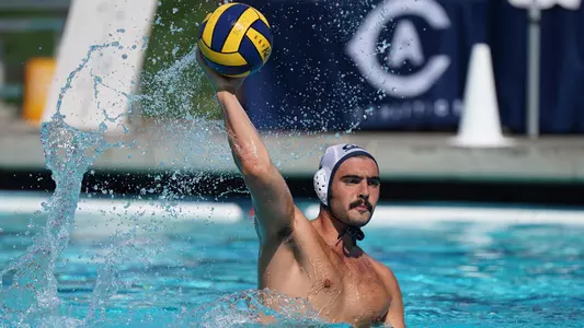 Tamir Avital