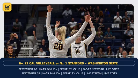 Stanford Preview