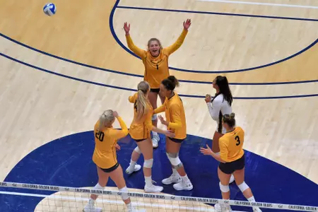 Celebration WSU