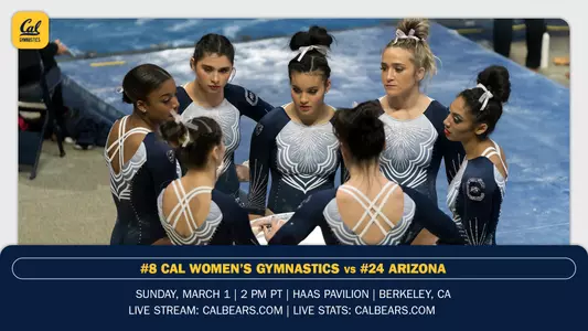 Preview - Arizona