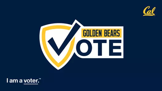 GoBearsGoVote Graphic
