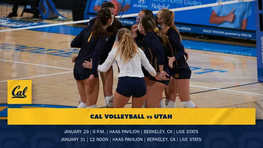 VB vs Utah Preview