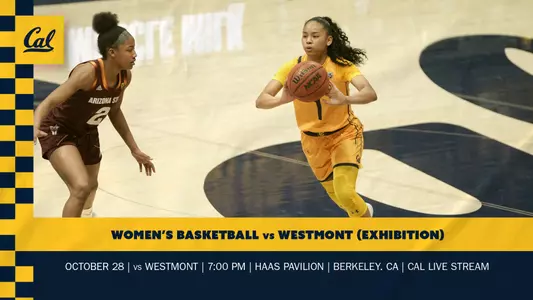 Westmont Exhibition graphic