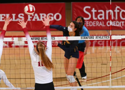 Katarina Pantovic at Stanford