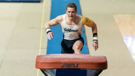 Caleb Rickard vault