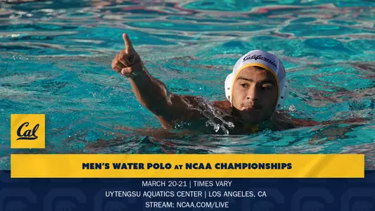 NCAA web graphic