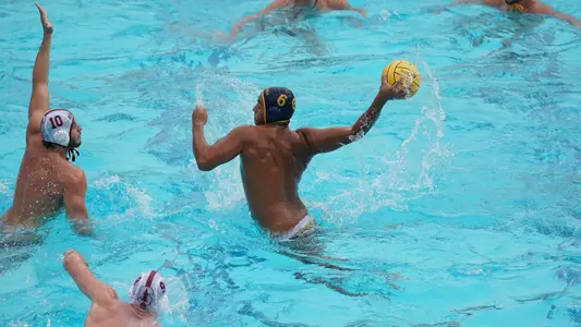 Joe Molina