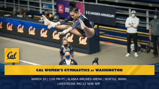 UW Preview