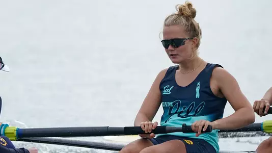 Fien van Westreenen