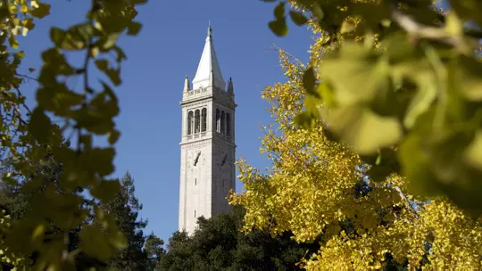 The Campanile