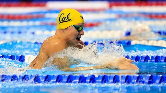 Cal Men's Swimming at 2021 U.S. Olympic Trials (June 17, 2021)