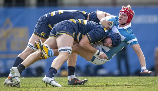 Sam Golla and Tom Dixon tackle a UCLA player
